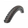 2019 Schwalbe Hans Dampf - Addix Soft - SS - TL-Easy - Folding Tyre