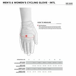 Clothing Alpinestars Cirrus Gloves